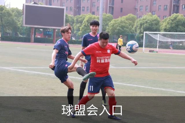 球盟会入口公司简介